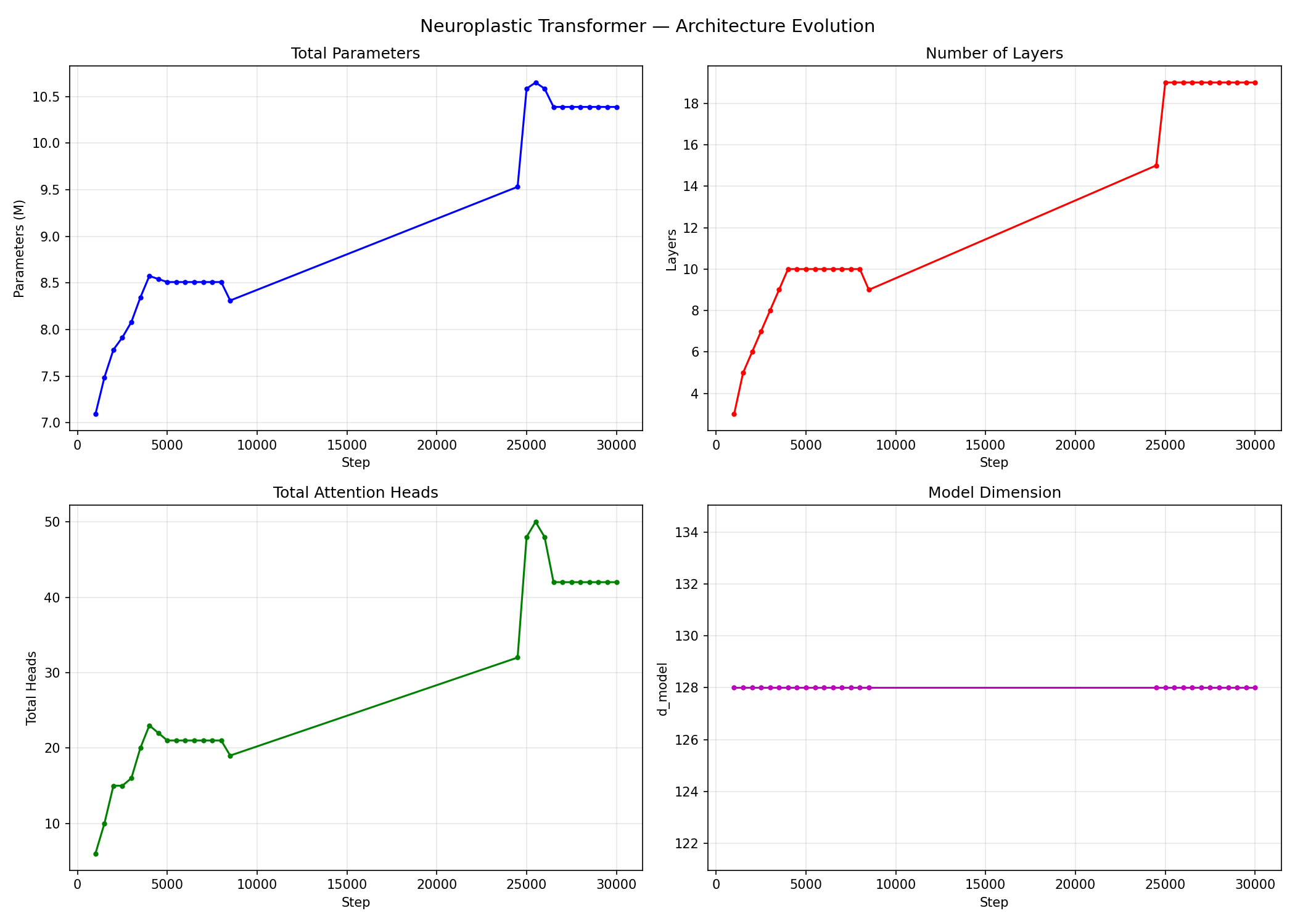 npviz architecture evolution screenshot showing layer and head changes across the Neuroplastic Transformer run